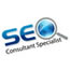 SEO CONSULTANT Know about the Consultant/Expert/Specialist who will be doing your SEO, SEM and SMM tasks to get you to the top…